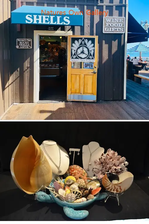 natures own gallery ca