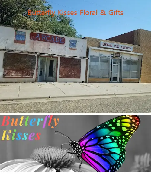 butterfly kisses floral  gifts tx