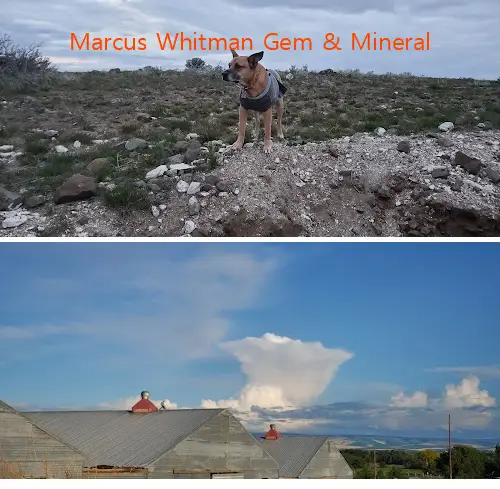 marcus whitman gem  mineral wa