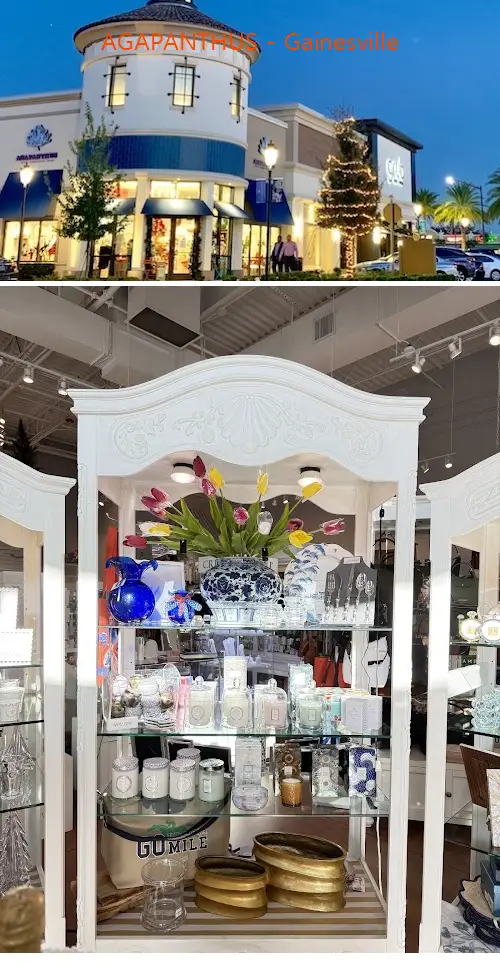 agapanthus  gainesville fl