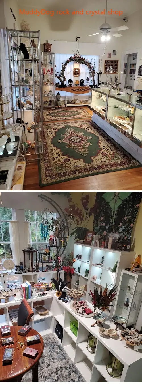 muddydog rock and crystal shop fl