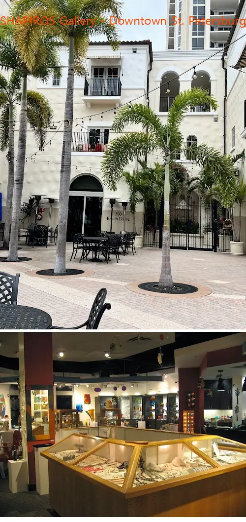 shapiros gallery  downtown st petersburg fl