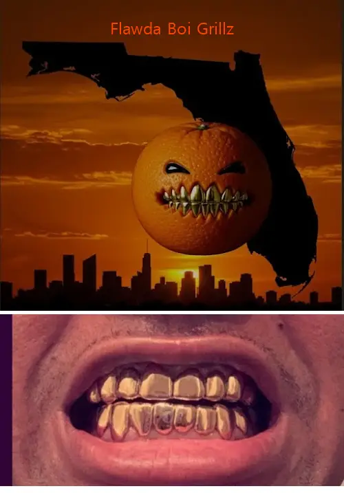 flawda boi grillz fl