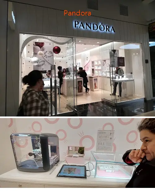 pandora ny 12203