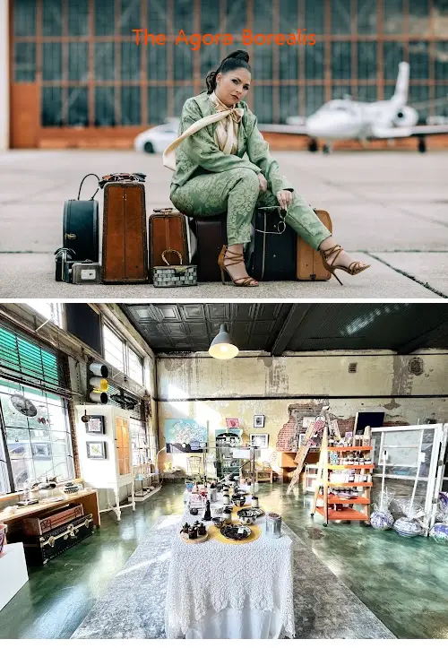 the agora borealis la