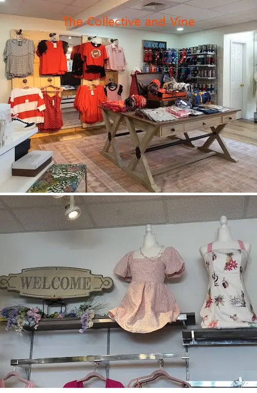 the collective and vine ga