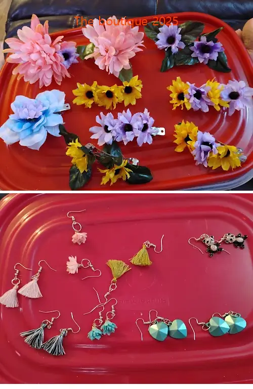 the boutique 2025 il