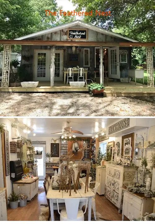 the feathered nest il