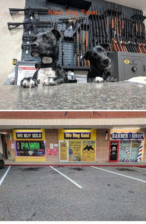 mad dog pawn fl