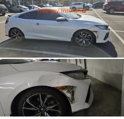 freeway insurance ca 94601