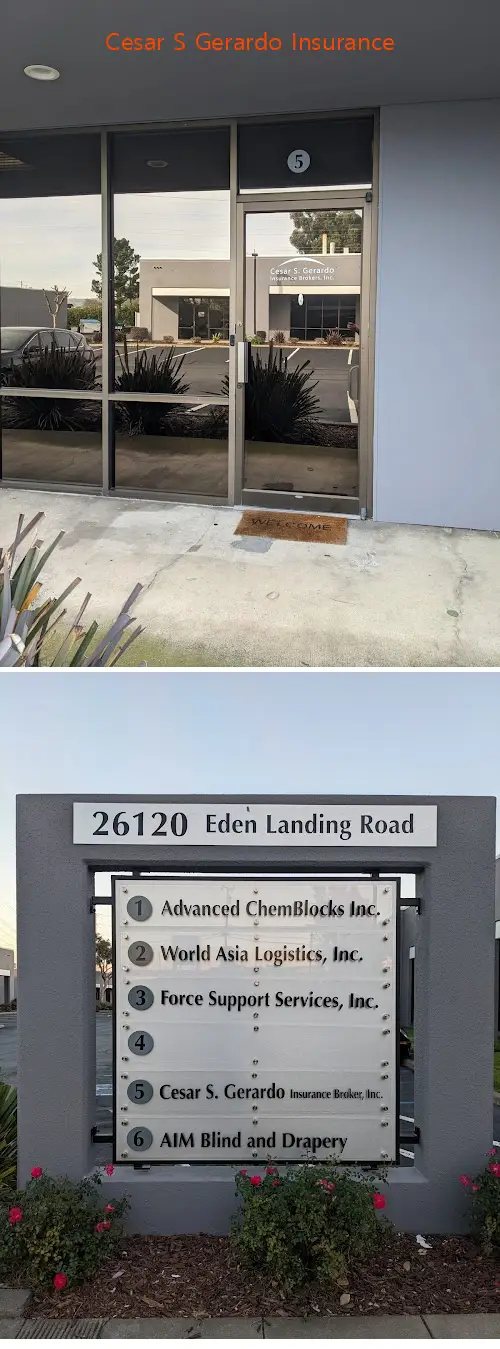 cesar s gerardo insurance ca