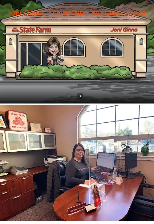 joni ginno  state farm insurance agent ca