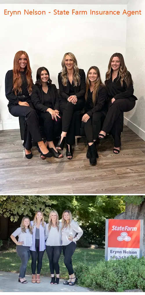 erynn nelson  state farm insurance agent ca