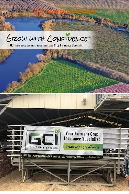 gci insurance brokers ca 95963