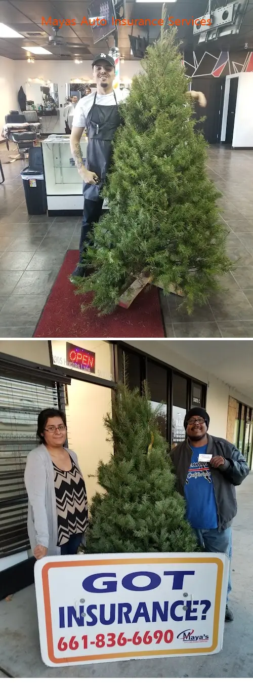 mayas auto insurance services ca 93304