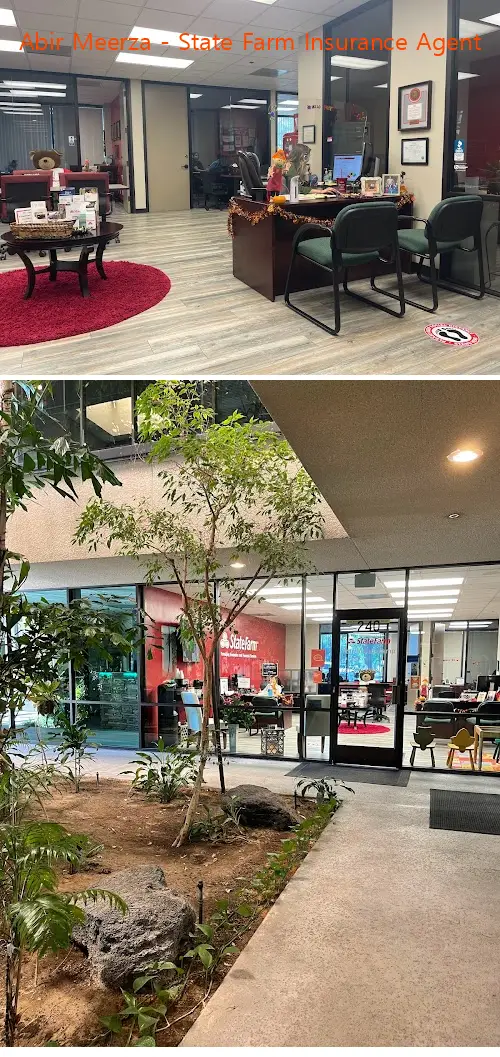 abir meerza  state farm insurance agent ca