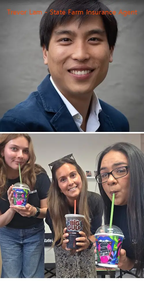 trevor lam  state farm insurance agent ca