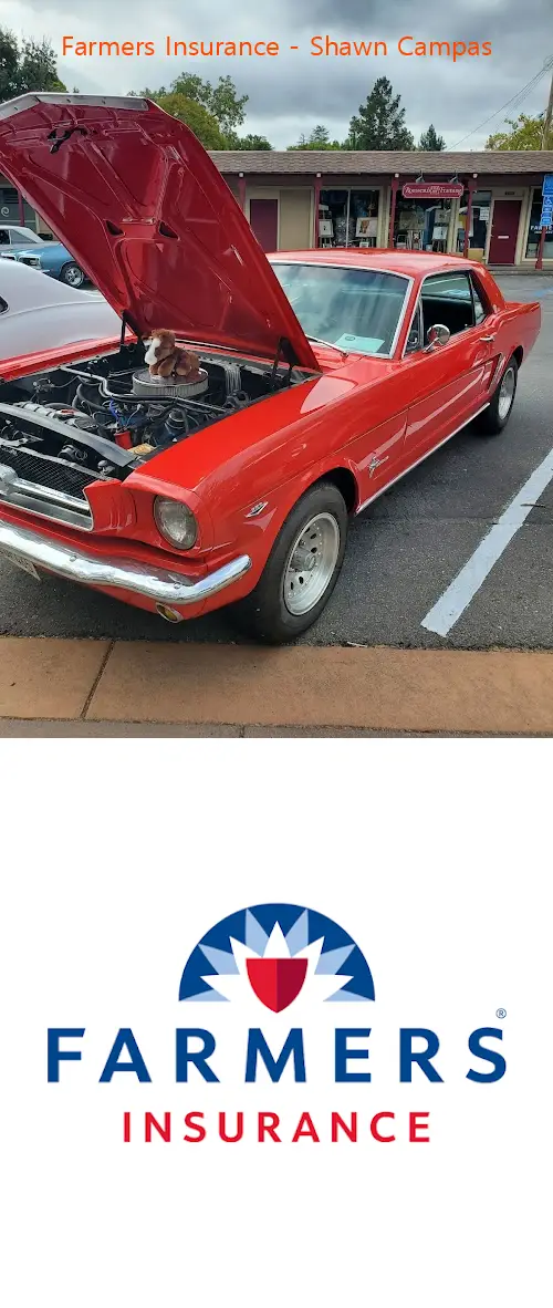 farmers insurance  shawn campas ca