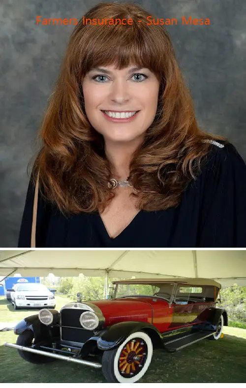 farmers insurance  susan mesa ca