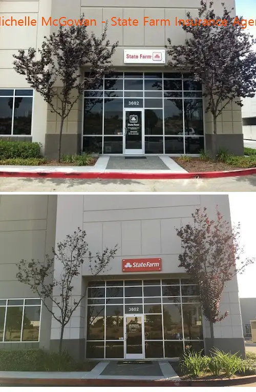 michelle mcgowan  state farm insurance agent ca
