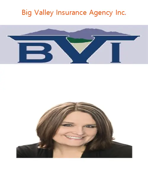 big valley insurance agency inc ca