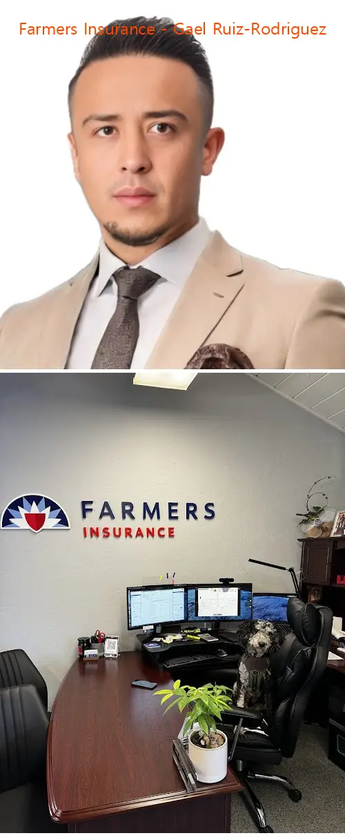farmers insurance  gael ruizrodriguez ca