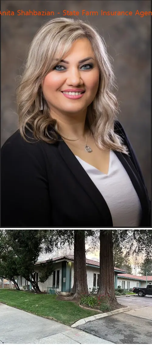 anita shahbazian  state farm insurance agent ca