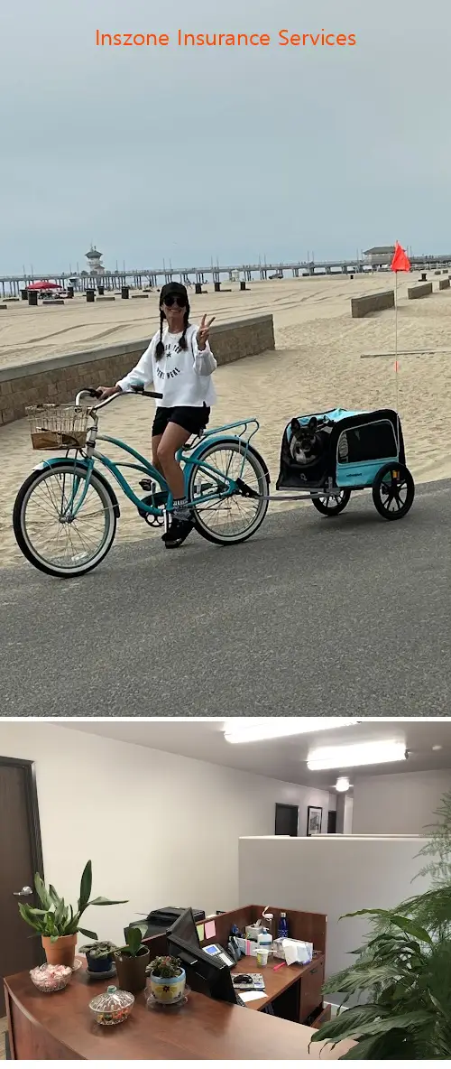 inszone insurance services ca 91360