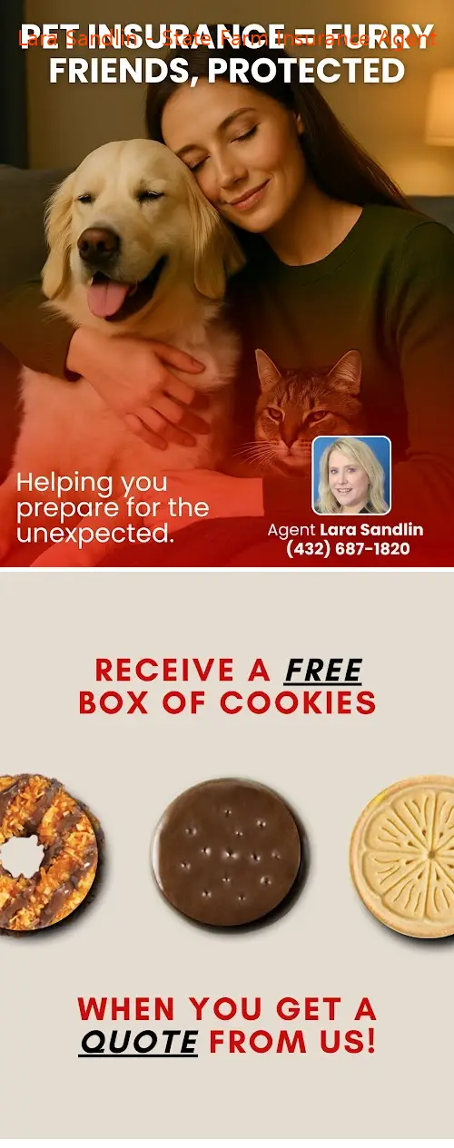 lara sandlin  state farm insurance agent tx 79714