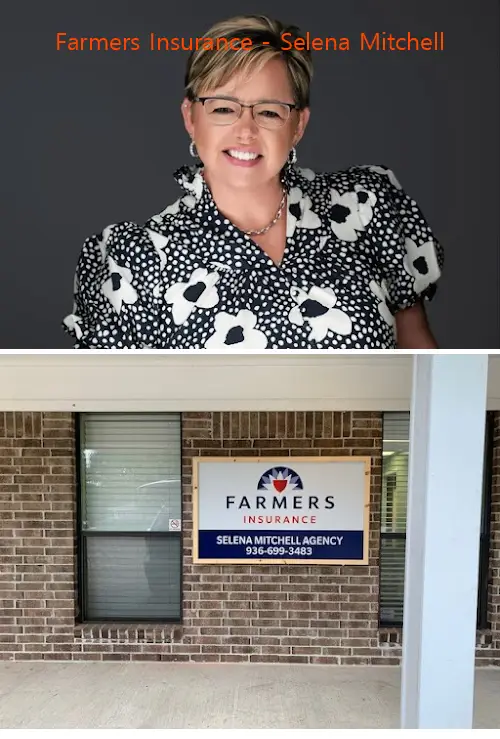 farmers insurance  selena mitchell tx