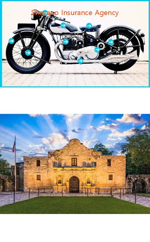 shavano insurance agency tx