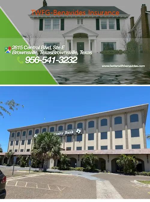 twfgbenavides insurance tx