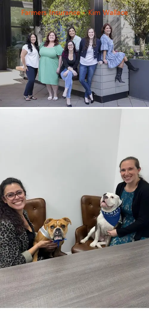 farmers insurance  kim wallace tx