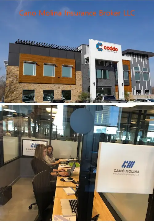 cano molina insurance broker llc tx