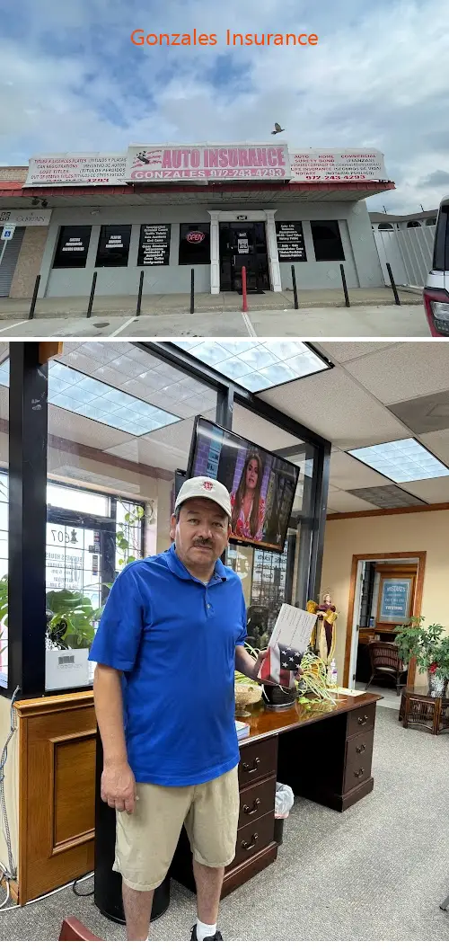 gonzales insurance tx