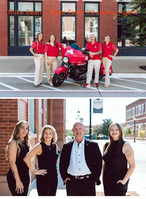 mike bean  state farm insurance agent tx