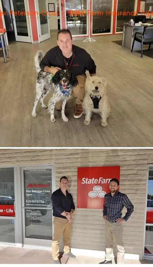 alex petersoncross  state farm insurance agent ca