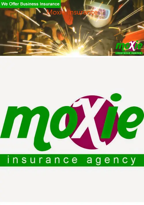 moxie insurance tx