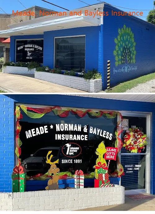meade norman and bayless insurance tx