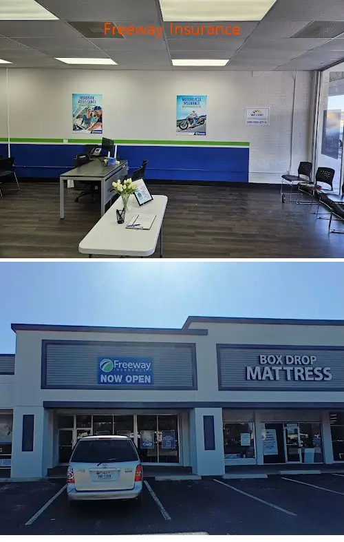 freeway insurance tx 77471