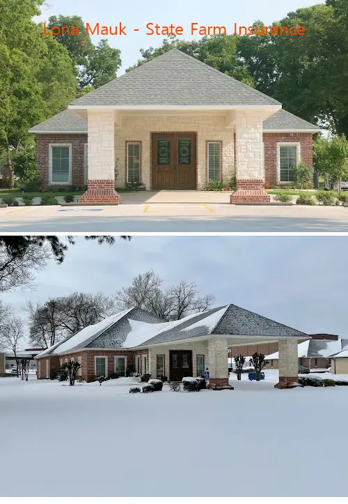 lona mauk  state farm insurance tx
