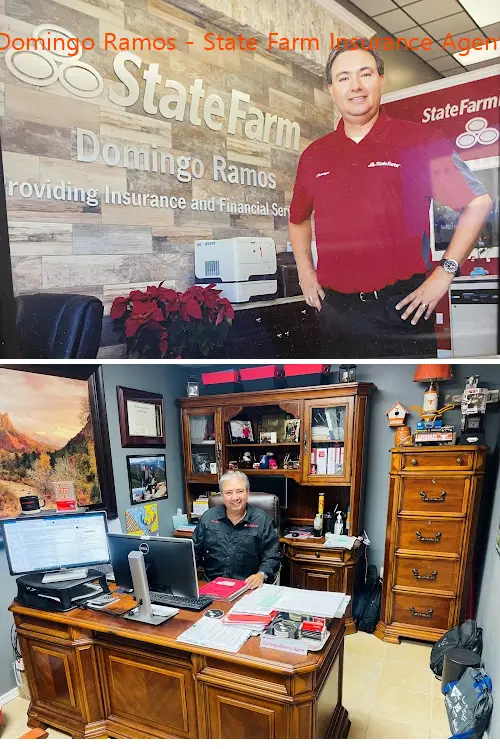 domingo ramos  state farm insurance agent tx