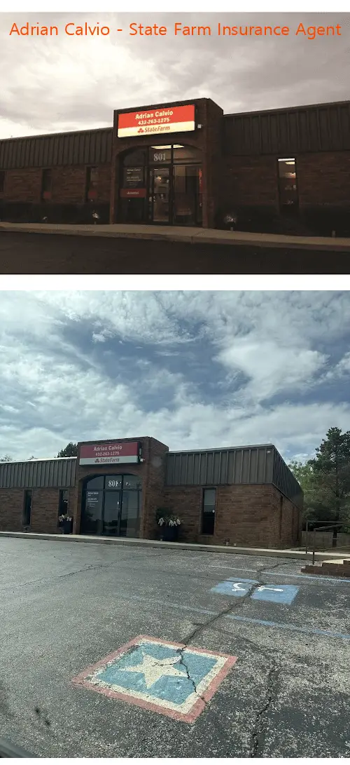 adrian calvio  state farm insurance agent tx