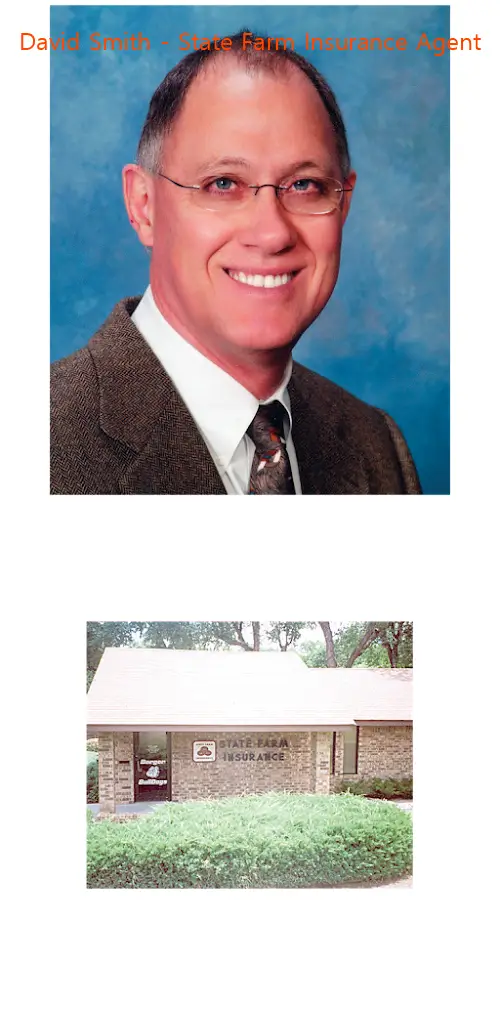 david smith  state farm insurance agent tx