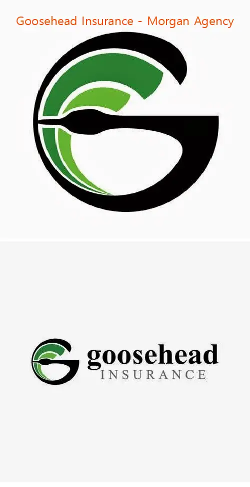 goosehead insurance  morgan agency tx