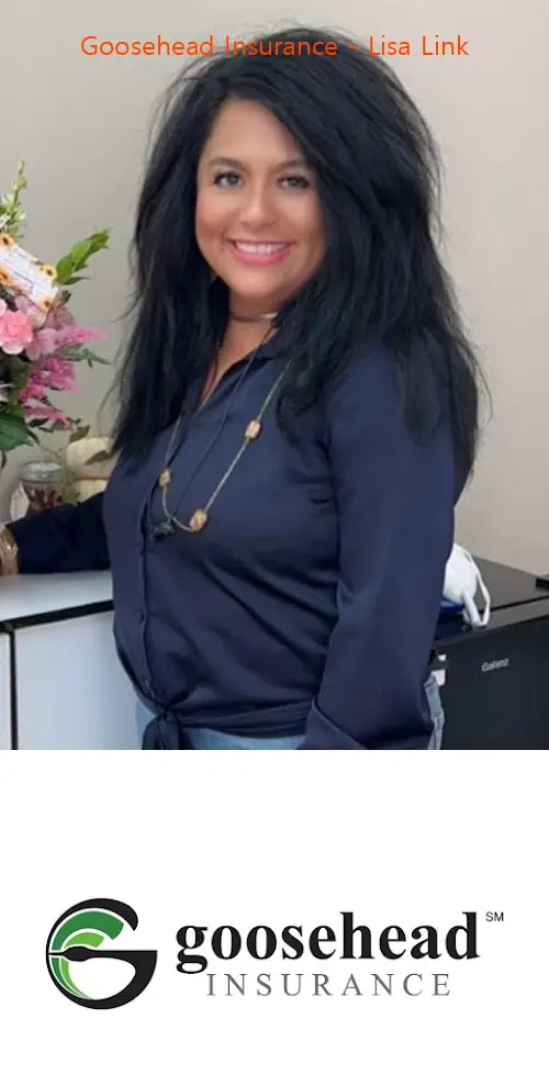 goosehead insurance  lisa link tx