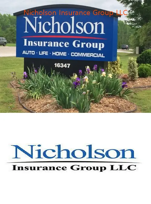nicholson insurance group llc tx