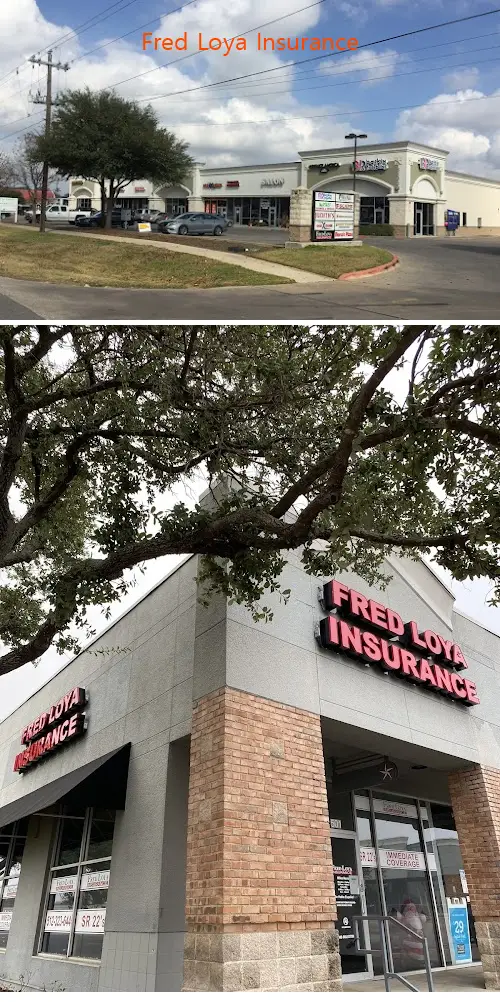 fred loya insurance tx 78626