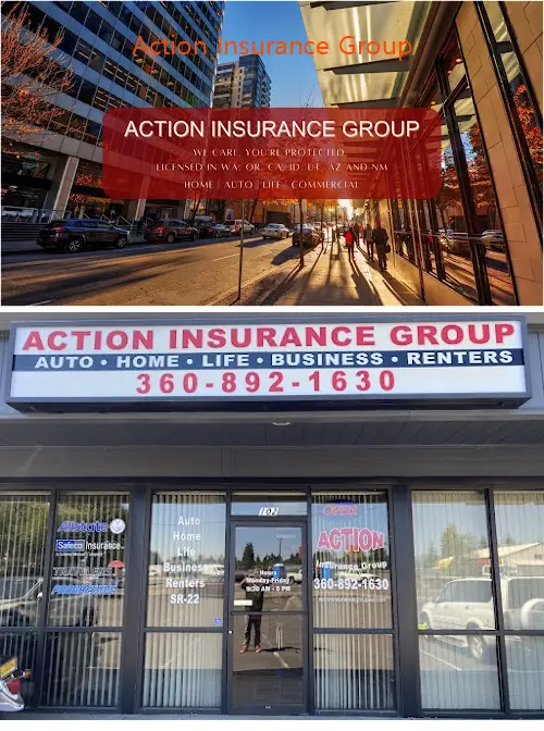 action insurance group wa