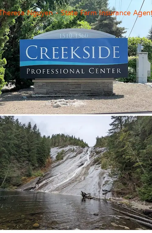 theresa nguyen  state farm insurance agent wa